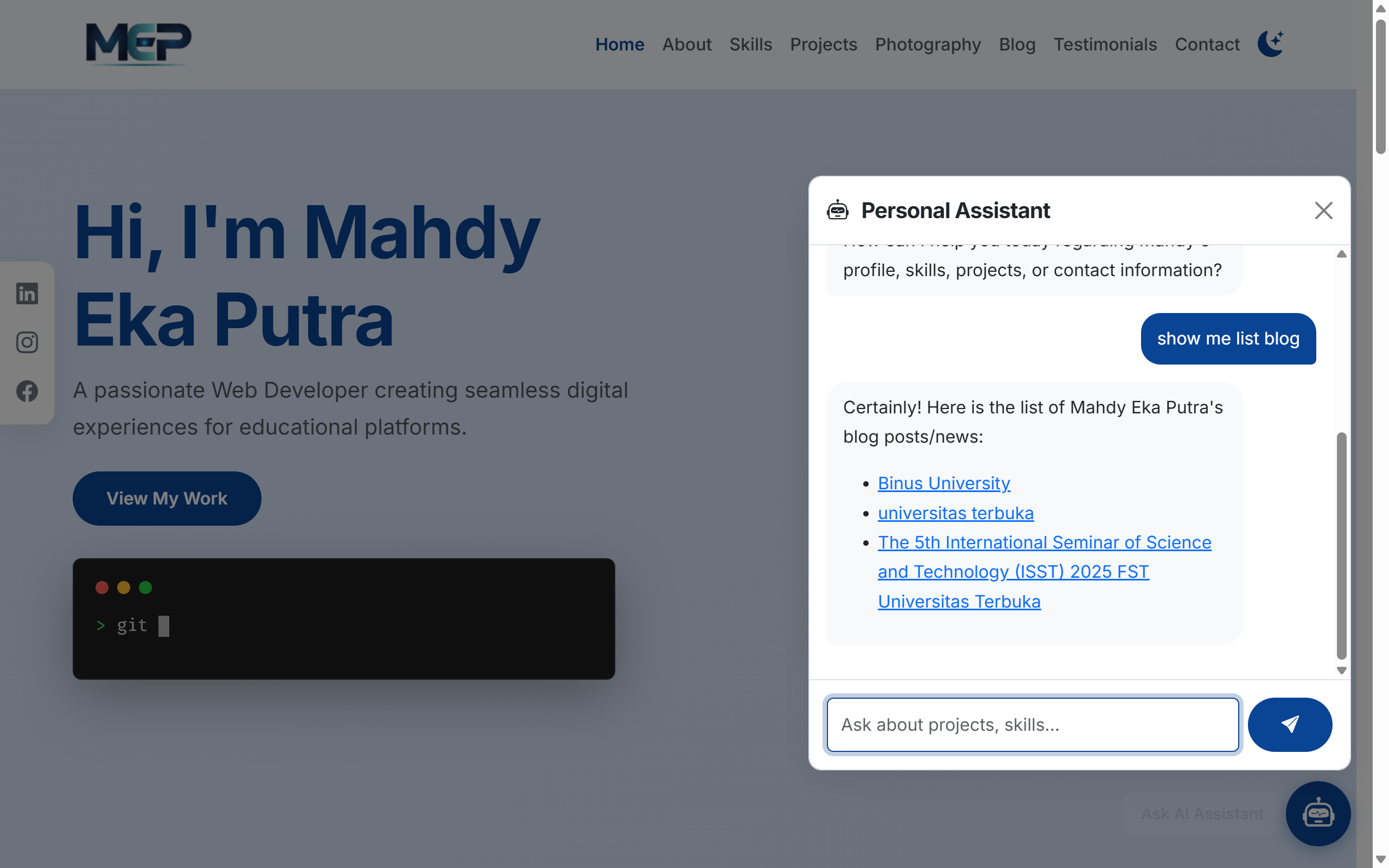 Professional Portofolio